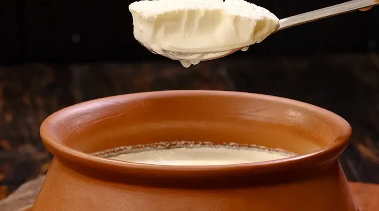 thick curd