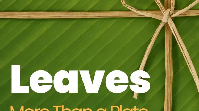leaves - more than a plate